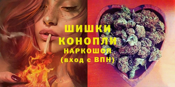 винт Армянск