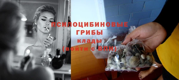 винт Армянск