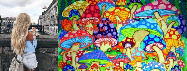 меф Арсеньев