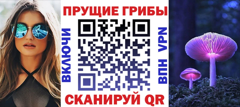 закладка  это наркотические препараты  Псилоцибиновые грибы MAGIC MUSHROOMS  Собинка 